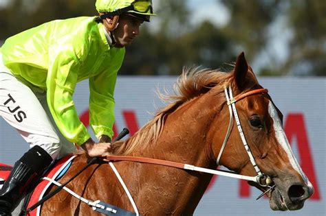 surround stakes|Runner.